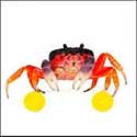 100 Pics Quiz Answers Animals Level 35