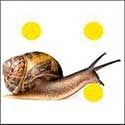100 Pics Quiz Answers Animals Level 40