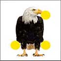 100 Pics Quiz Answers Animals Level 42
