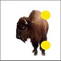 100 Pics Animals Answers Level 53