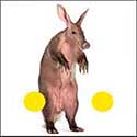 100 Pics Quiz Answers Animals Level 57