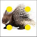 100 Pics Quiz Answers Animals Level 67