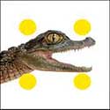 100 Pics Animals Answers Level 83