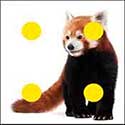 100 Pics Animals Answers Level 92