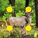 100 Pics Quiz Answers Animals Level 95