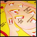 100 Pics Games Answers Level 43