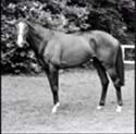 100 Pics History Answers Level 51
