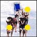 100 Pics Winter Answers Level 13