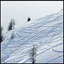 100 Pics Winter Answers Level 51
