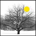 100 Pics Winter Answers Level 59
