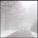 100 Pics Winter Answers Level 96