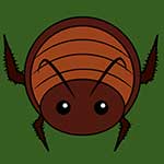 100 Pics Animaru Answers Level 63