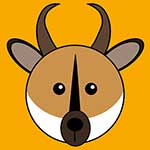 100 Pics Animaru Answers Level 94