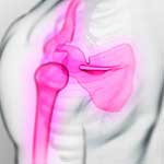 100 Pics Body Parts Answers Level 100