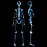 100 Pics Body Parts Answers Level 15