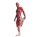 100 Pics Body Parts Answers Level 34
