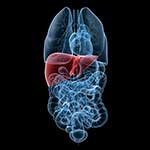100 Pics Body Parts Answers Level 52