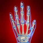 100 Pics Body Parts Answers Level 60