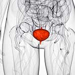 100 Pics Body Parts Answers Level 61