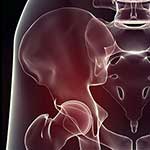 100 Pics Body Parts Answers Level 65
