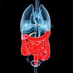 100 Pics Body Parts Answers Level 72