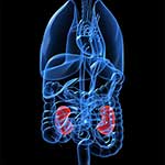 100 Pics Body Parts Answers Level 73