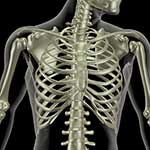 100 Pics Body Parts Answers Level 75