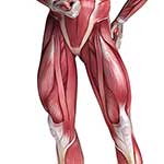 100 Pics Body Parts Answers Level 77