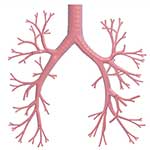 100 Pics Body Parts Answers Level 86