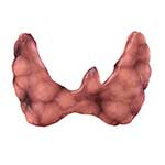 100 Pics Body Parts Answers Level 96