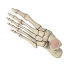 100 Pics Body Parts Answers Level 99
