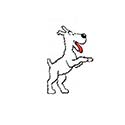 100 Pics Cartoons Answers Level 71