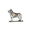 100 Pics Dog Breeds Answers Level 3