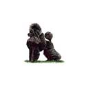 100 Pics Dog Breeds Answers Level 5