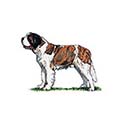 100 Pics Dog Breeds Answers Level 9