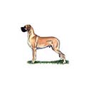 100 Pics Dog Breeds Answers Level 12