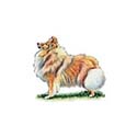 100 Pics Dog Breeds Answers Level 15