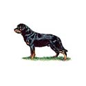 100 Pics Dog Breeds Answers Level 17