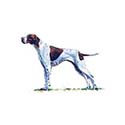 100 Pics Dog Breeds Answers Level 18