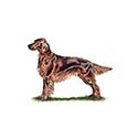 100 Pics Dog Breeds Answers Level 19