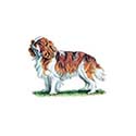 100 Pics Dog Breeds Answers Level 20