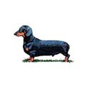 100 Pics Dog Breeds Answers Level 22