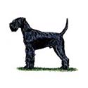 100 Pics Dog Breeds Answers Level 25