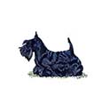 100 Pics Dog Breeds Answers Level 32