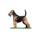 100 Pics Dog Breeds Answers Level 33