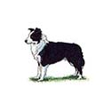 100 Pics Dog Breeds Answers Level 37