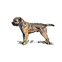 100 Pics Dog Breeds Answers Level 48