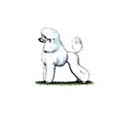 100 Pics Dog Breeds Answers Level 53