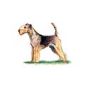 100 Pics Dog Breeds Answers Level 63