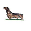 100 Pics Dog Breeds Answers Level 65